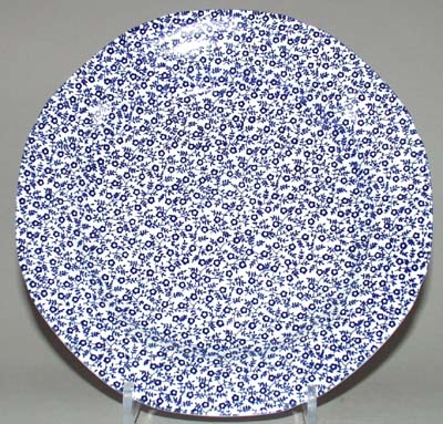 Dinner Plate